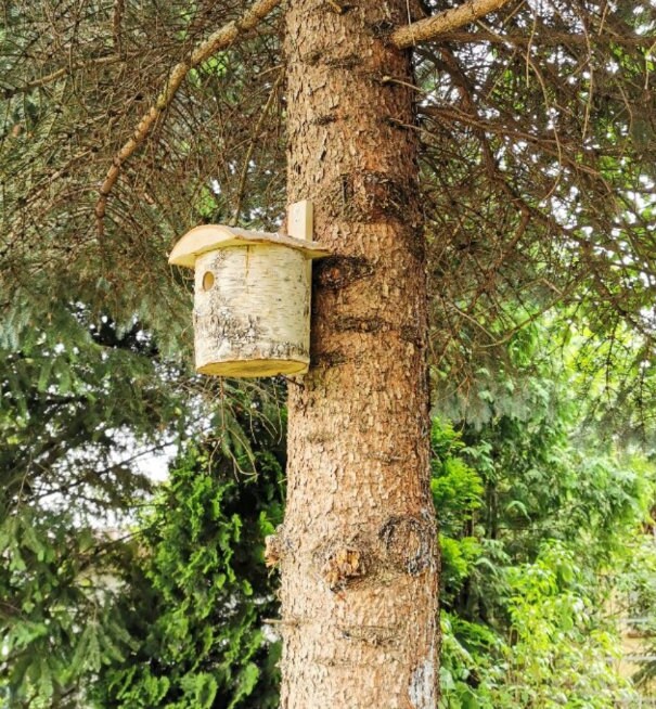 Birch Wooden Bird House |  hanging bird feeder |  wooden bird house | bird houses | unique bird feeder | bird lover gift |